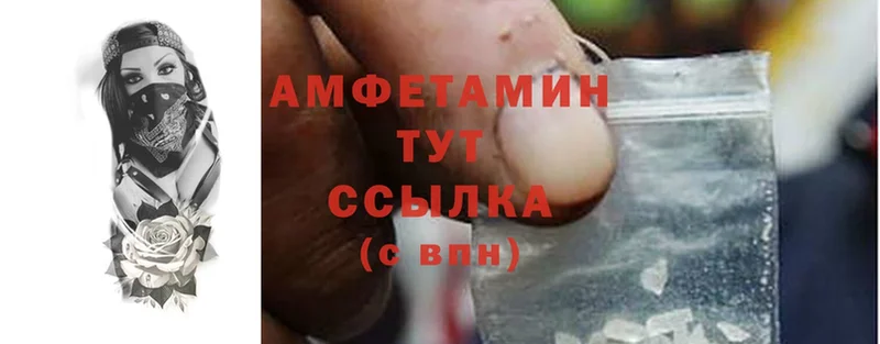 где купить наркоту  Калуга  Amphetamine VHQ 