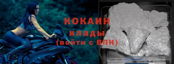 прущие грибы Сафоново