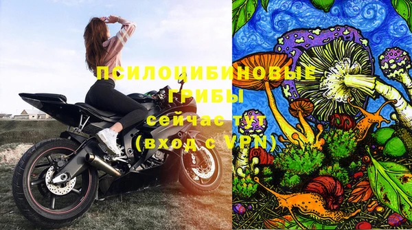 гашик Сатка
