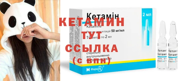 прущие грибы Сафоново