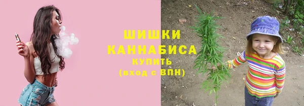 ПСИЛОЦИБИНОВЫЕ ГРИБЫ Саяногорск