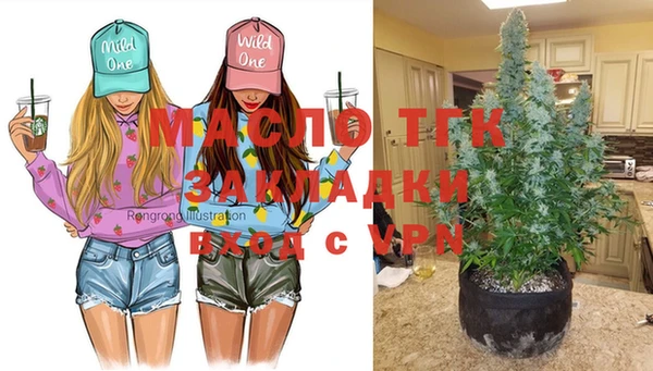 прущие грибы Сафоново