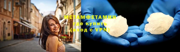 индика Вяземский