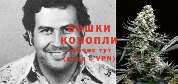 ПСИЛОЦИБИНОВЫЕ ГРИБЫ Саяногорск