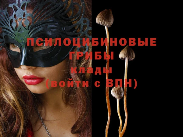 ПСИЛОЦИБИНОВЫЕ ГРИБЫ Саяногорск