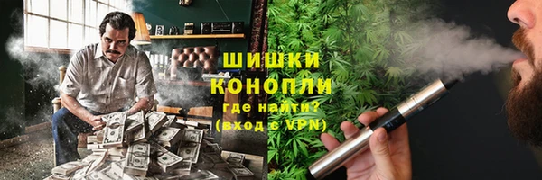 прущие грибы Сафоново