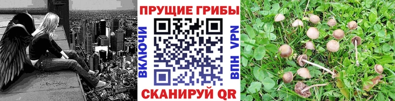 ссылка на мегу ONION  купить закладку  Калуга  Галлюциногенные грибы Magic Shrooms 