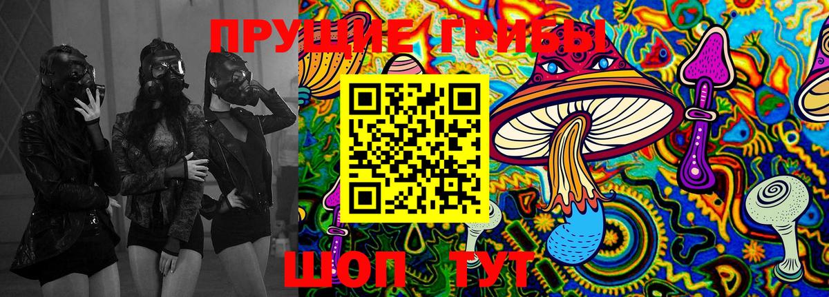 где купить   Калуга  Галлюциногенные грибы Psilocybine cubensis  Галлюциногенные грибы мухоморы 