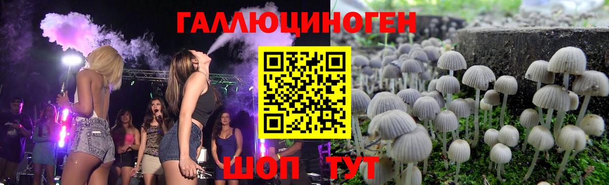 Калуга  Псилоцибиновые грибы GOLDEN TEACHER  Вход с VPN 
